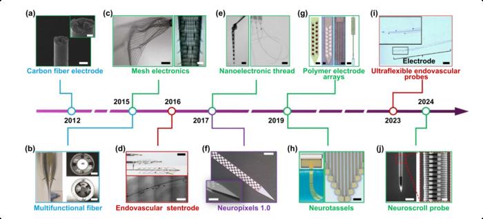 A landscape of minimally invasive intracortical neural electrodes