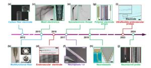A landscape of minimally invasive intracortical neural electrodes