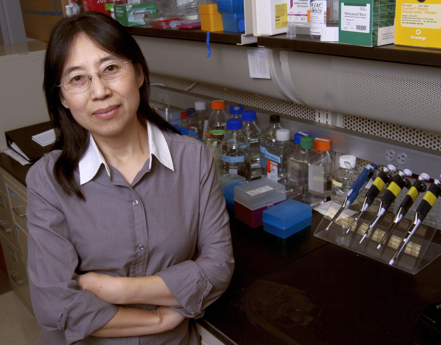 Hong Wang, Ph.D., Monell Chemical Senses Center