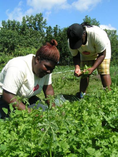 Adolescents Underserved at American Public Gardens