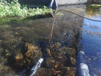 Groundwater Discharge to Upper Colorado River Basin Varies in Response to Drought (3 of 3)