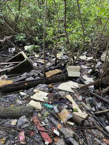 Litter invades the mangroves of tropical countries