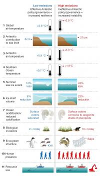 Table of Comparison