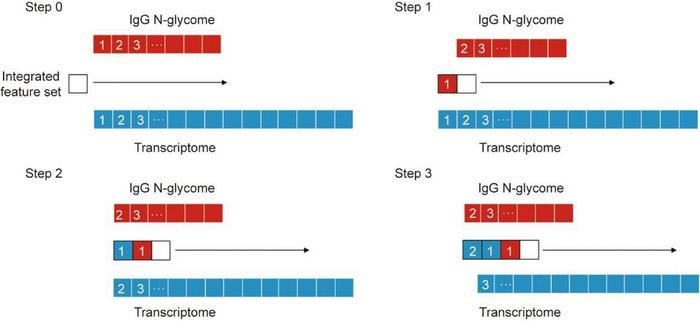 A typical forward feature selection (FFS) workflow for the AlphaSnake algorithm.