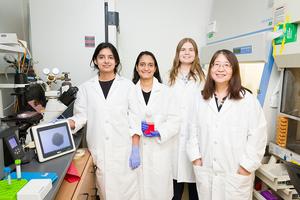 Researchers