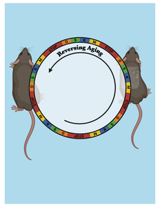 Science image