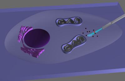 Nanoendoscope Schematic