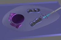 Nanoendoscope Schematic