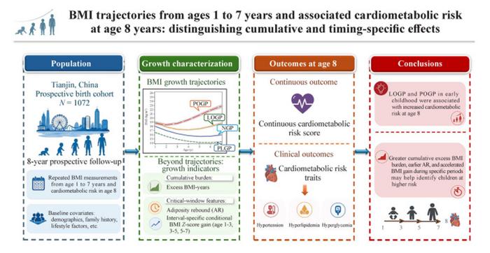 Early BMI trajectories and cardiometabolic risk at age 8.