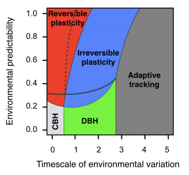 Environmental 'Tipping Points' Key to Predicting Extinctions