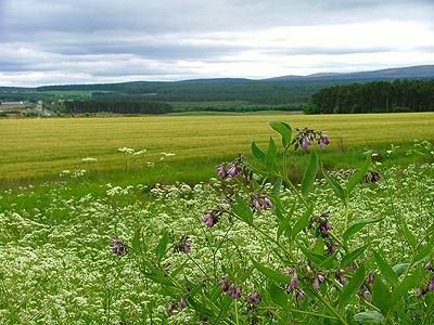 Plantinga Ecosystem