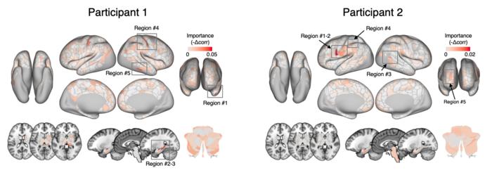 Figure 2. Regional feature importance of fMRI-based chronic pain marker