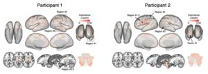 Figure 2. Regional feature importance of fMRI-based chronic pain marker