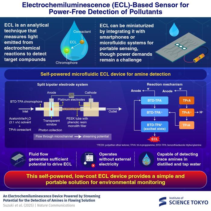 Self-powered electrochemiluminescence microfluidic device for pollutant detection