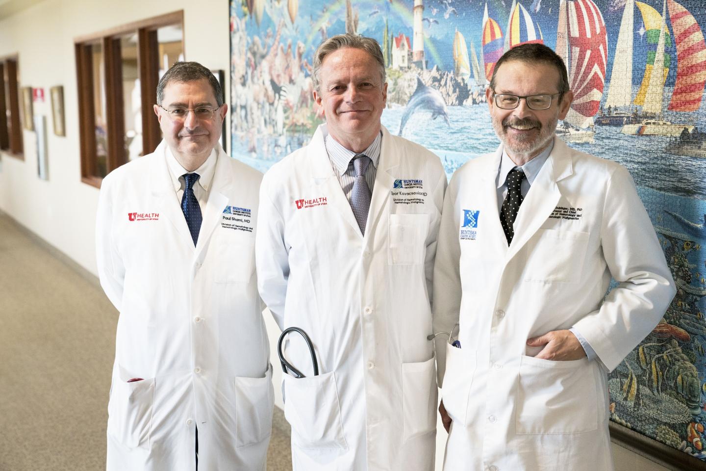 Paul Shami, M.D., Tibor Kovacsovics, M.D. and Michael Deininger, M.D., Ph.D.