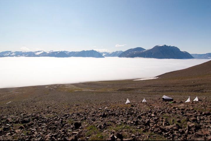 Insect traps on the top of the world