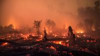 Peat fires