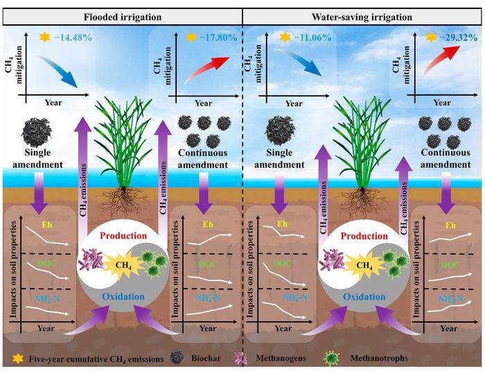 Continuous biochar amendment to achieve long-term CH4 mitigation in paddy fields under water-saving irrigation: a 5-year experiment