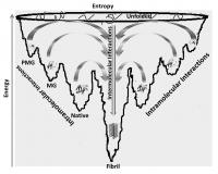 Unification of Energy Landscape