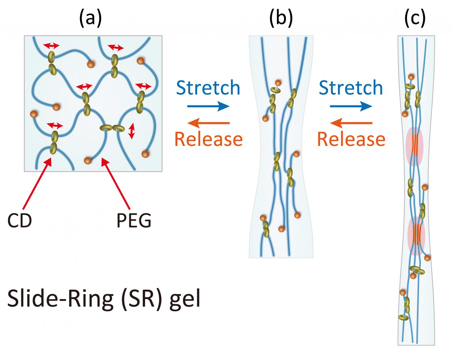Self-Reinforced Gel
