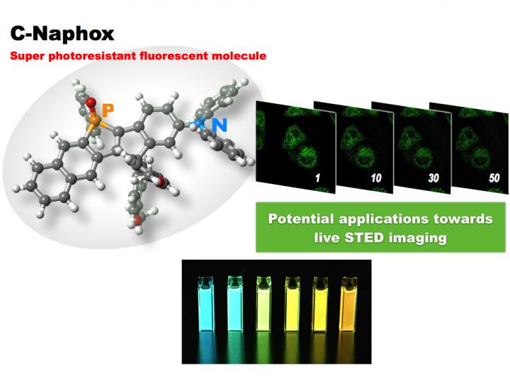 Development of a New Photostable Fluorescent Dye