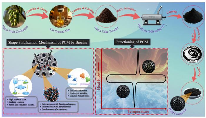 Temperature-modulated surface features of neem seed biochar for sustainable thermal energy storage applications