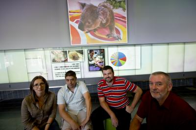 World-First Research Shines Spotlight on Koalas