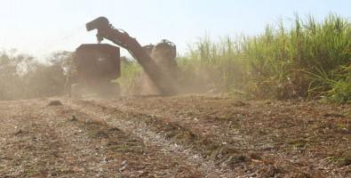 The Importance of Managing the Use of Sugarcane Straw