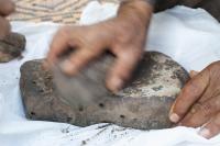 Grinding of Club-Rush for Experimental Production of Flour