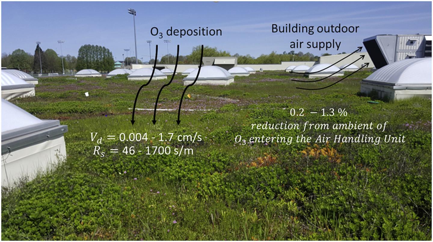 Green Roof Study