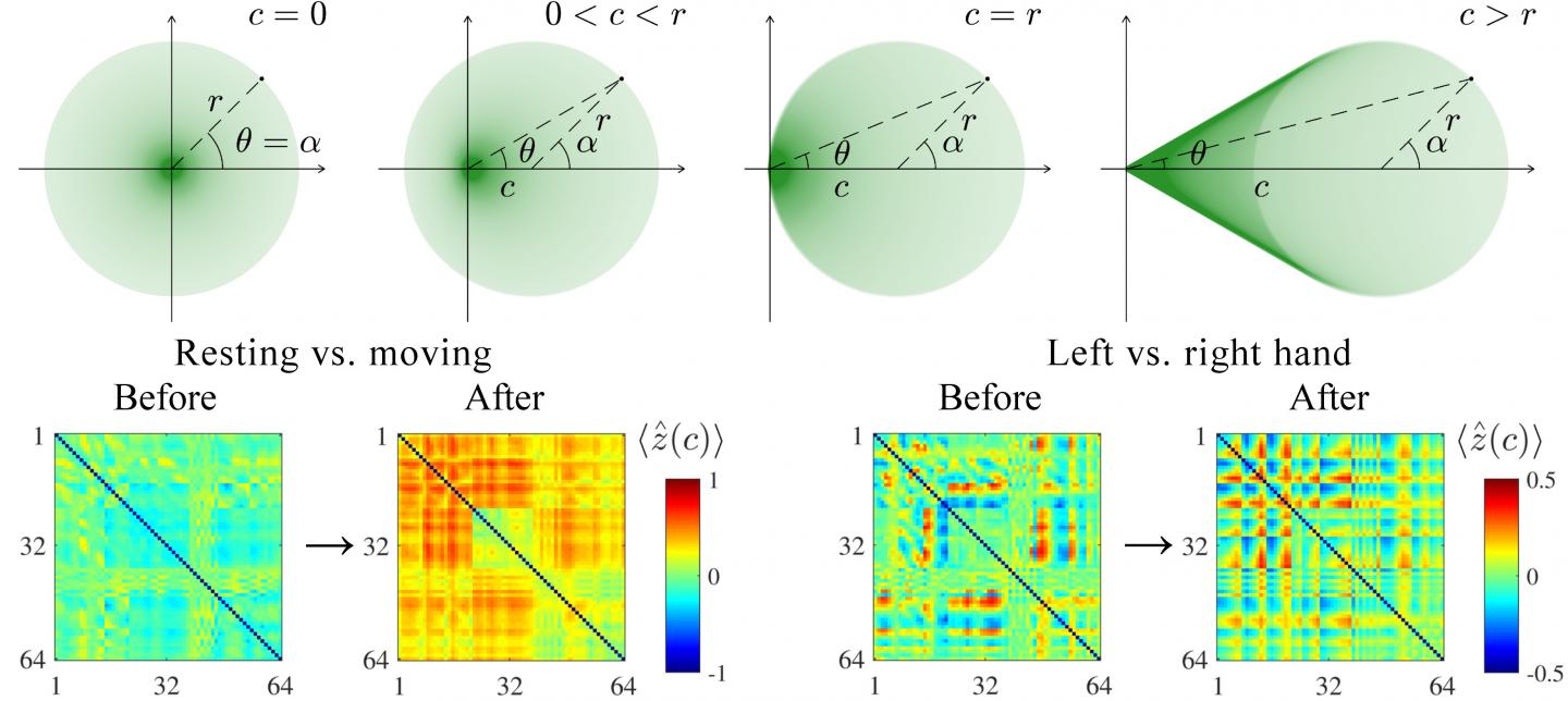 An Added Constant Highlights Differences In Synchronization
