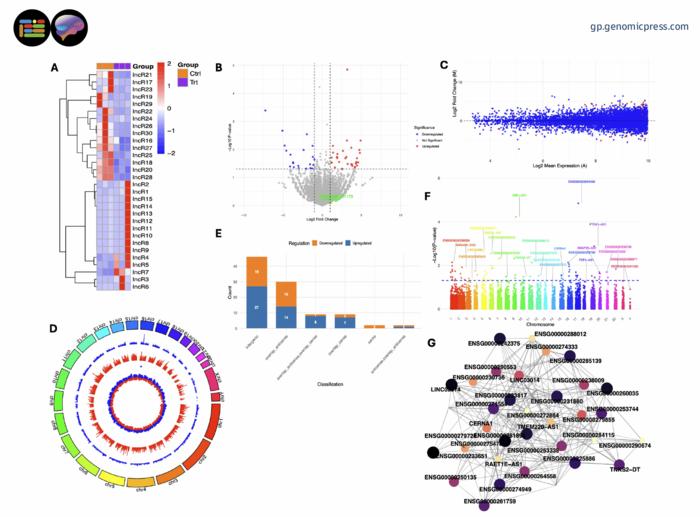 Transcriptomic profiling and analysis of lncRNAs in GR-overexpressing SH-SY5Y cells.