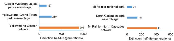 Extinction half-life communities in individual park assemblages versus protected area networks in western North America