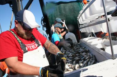 Jameson Gregg, Kristene Parsons and Greg Mears, Virginia Institute of Marine Science