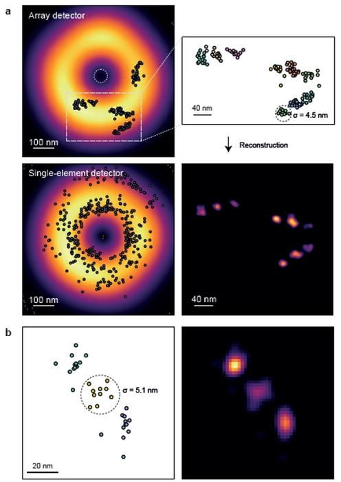 Figure | Example of ISM-FLUX on nanorulers