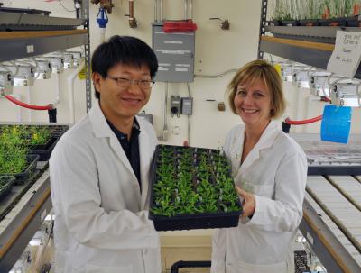 Seung Cho Lee and Julia Bailey-Serres, University of California - Riverside