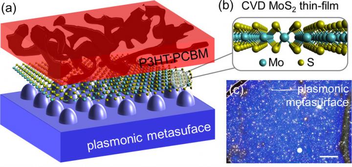 Schematic Depicting Hybrid Ultrathin Materials on a Plasmonic Metasurface
