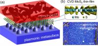 Schematic Depicting Hybrid Ultrathin Materials on a Plasmonic Metasurface