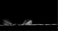 Vortex-Induced Pathogen Dispersal upon Impact (2 of 3)