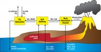 Carbon Dioxide Collector