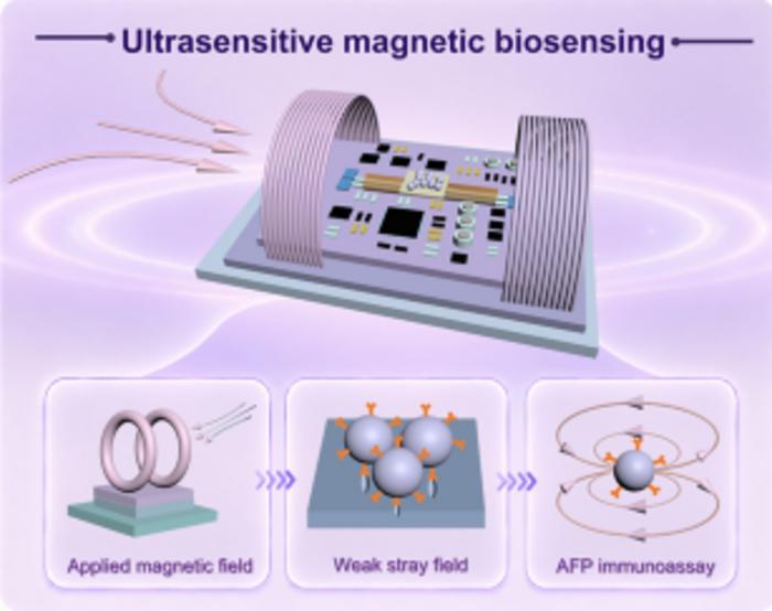 Ultralow Noise Orthogonal Fluxgates Enabling Weak Magnetic Field and Biomolecular Detection