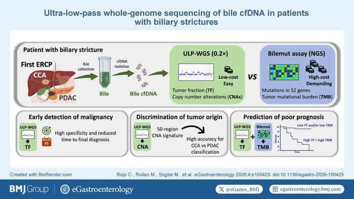 Visual abstract