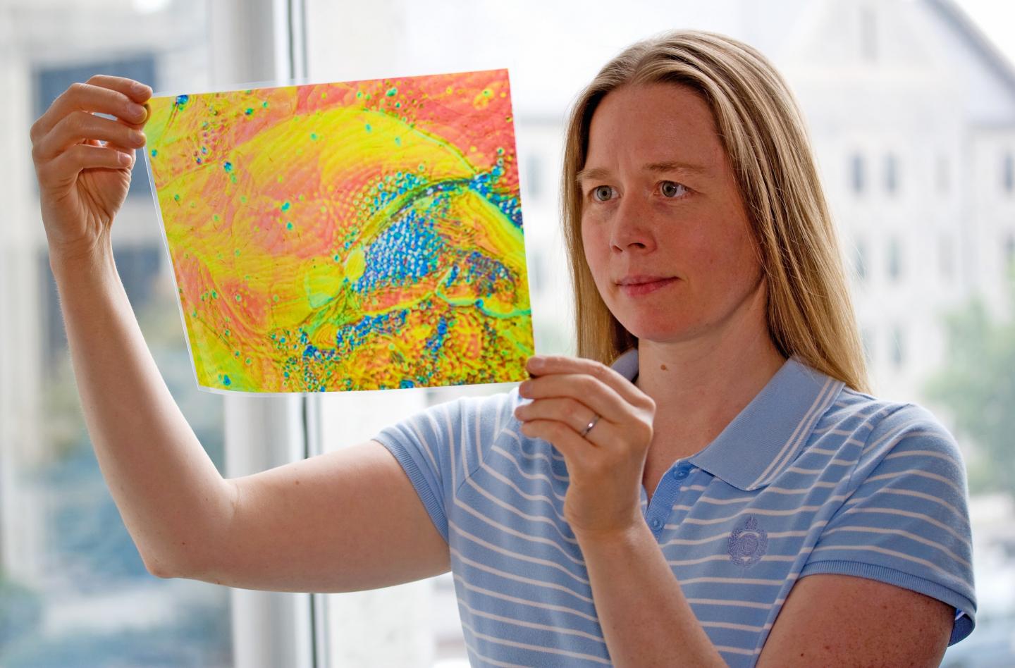 Biomaterials Research