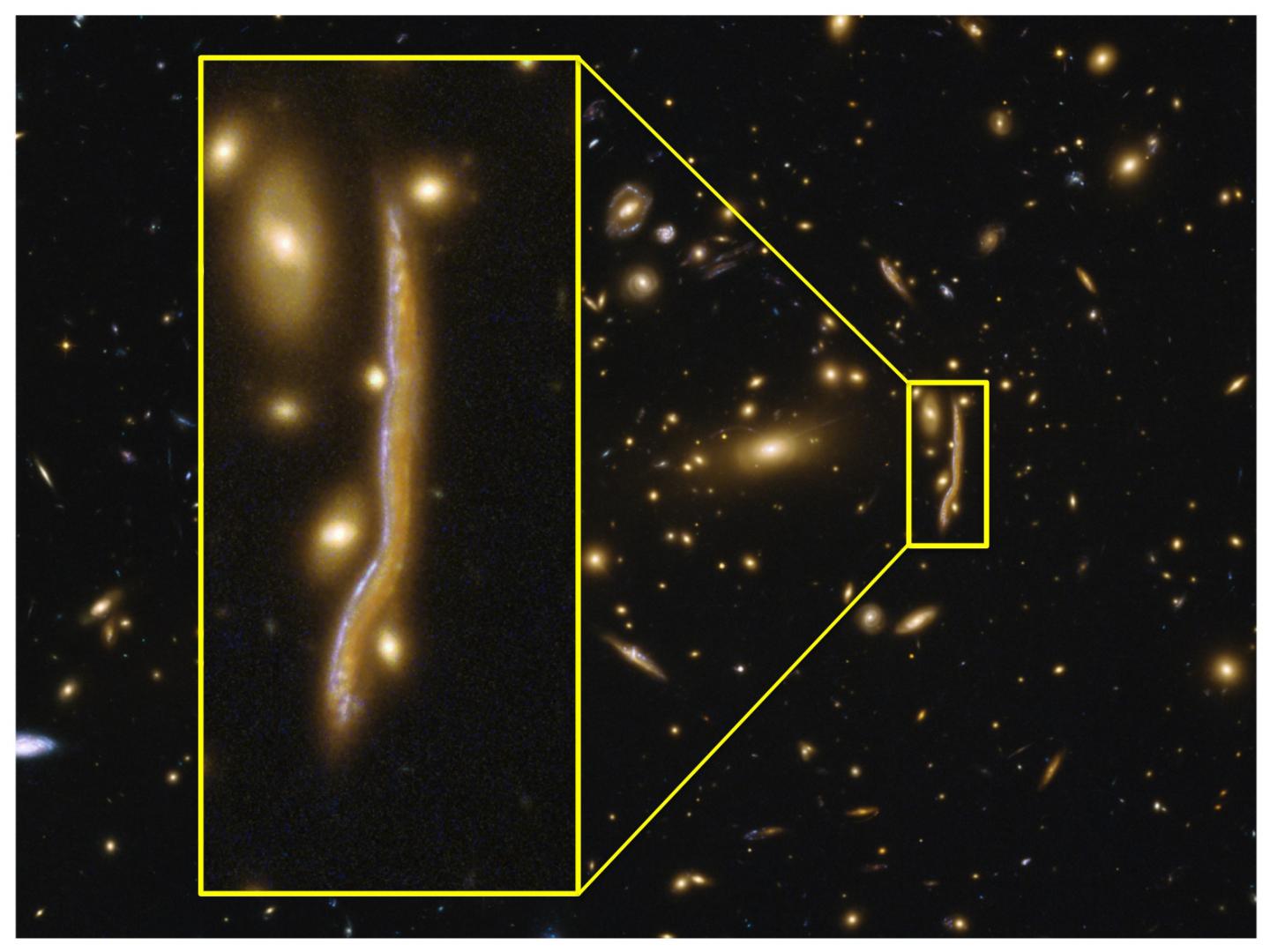 The Cosmic Snake