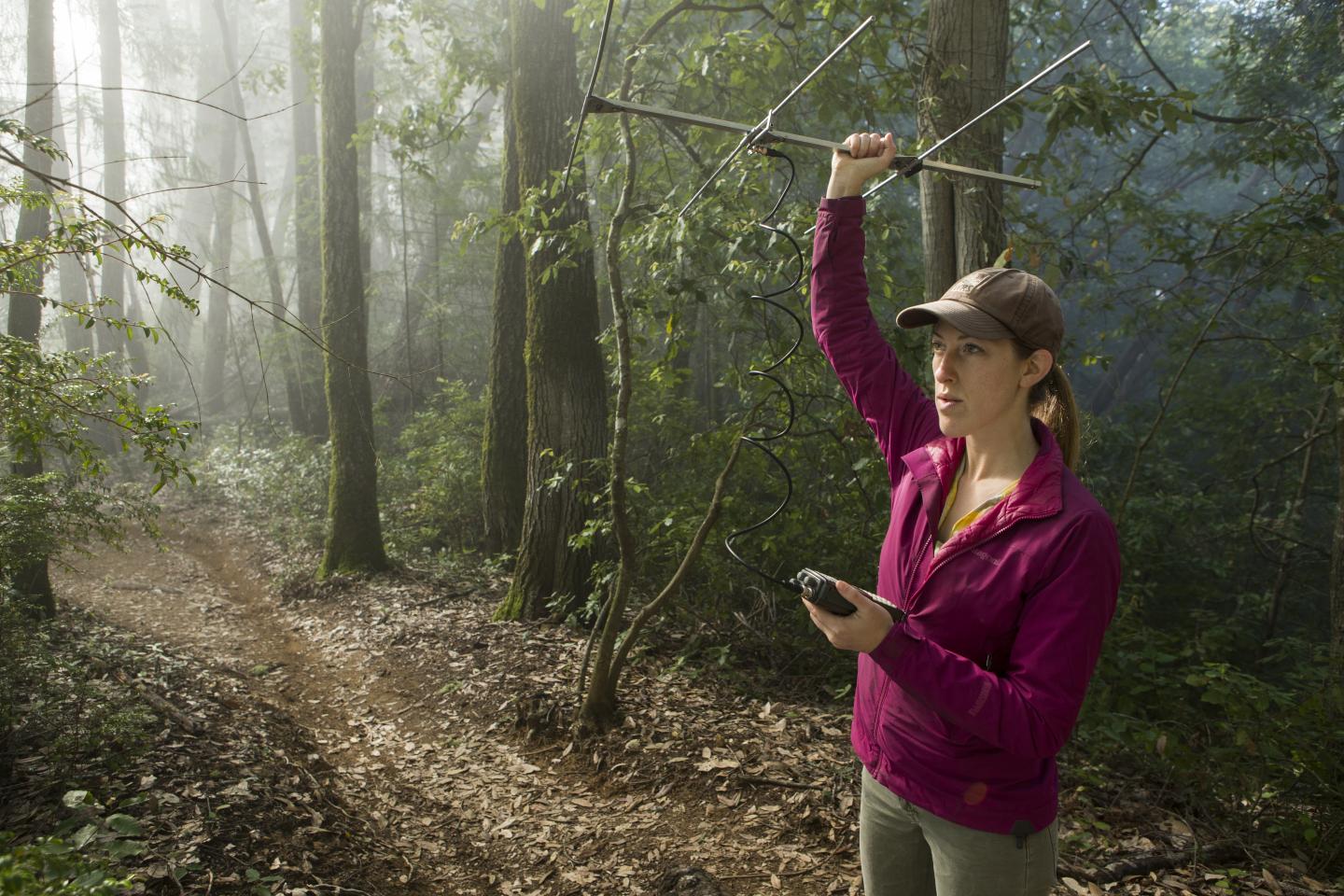 Justine Smith, University of California - Santa Cruz