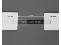Terahertz Detector
