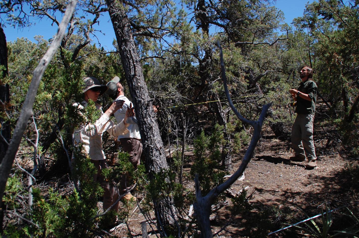 New Mexico Fieldwork
