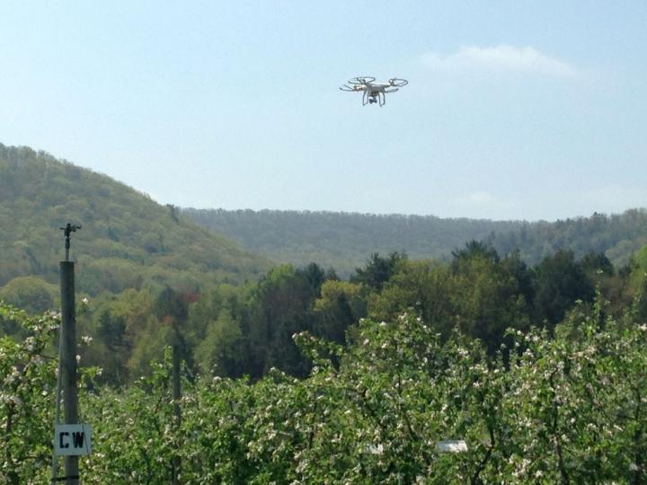 Drone