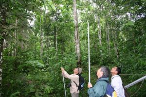 Field survey in the Amazonia rainforest
