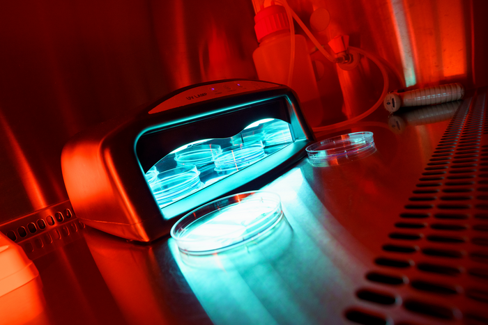 Nail polish curing device